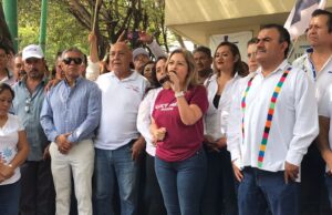 Acusaciones de Confusión y Difamación: Por Uso de Colores de Morena y Campañas de Desprestigio por parte de Lucia Meza